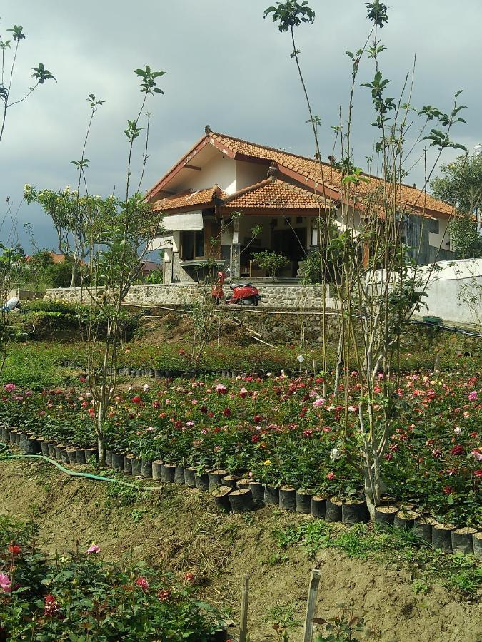 Shanty'S House Batu  Exterior photo