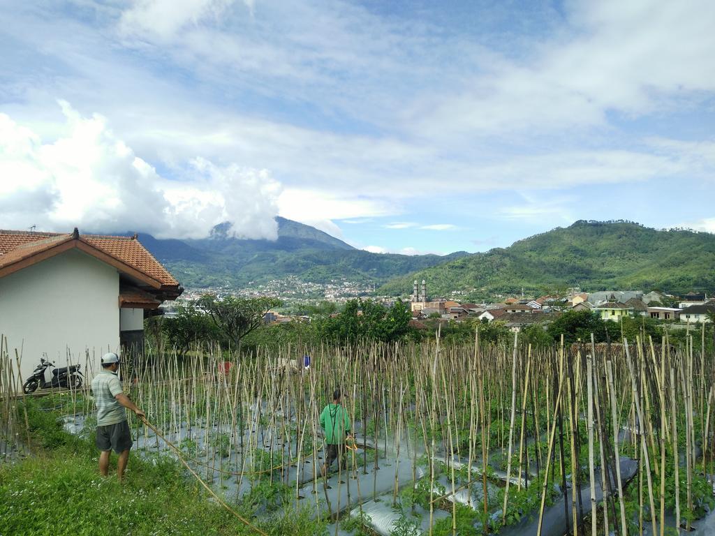 Shanty'S House Batu  Exterior photo