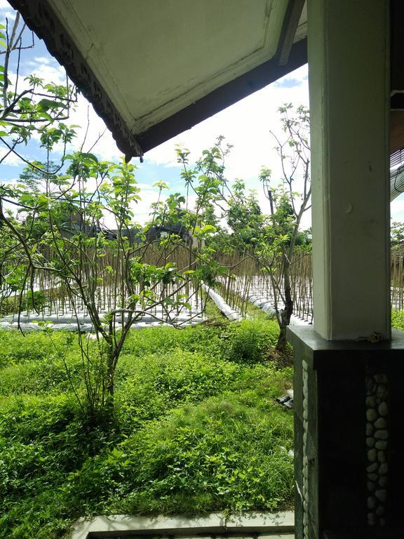 Shanty'S House Batu  Exterior photo