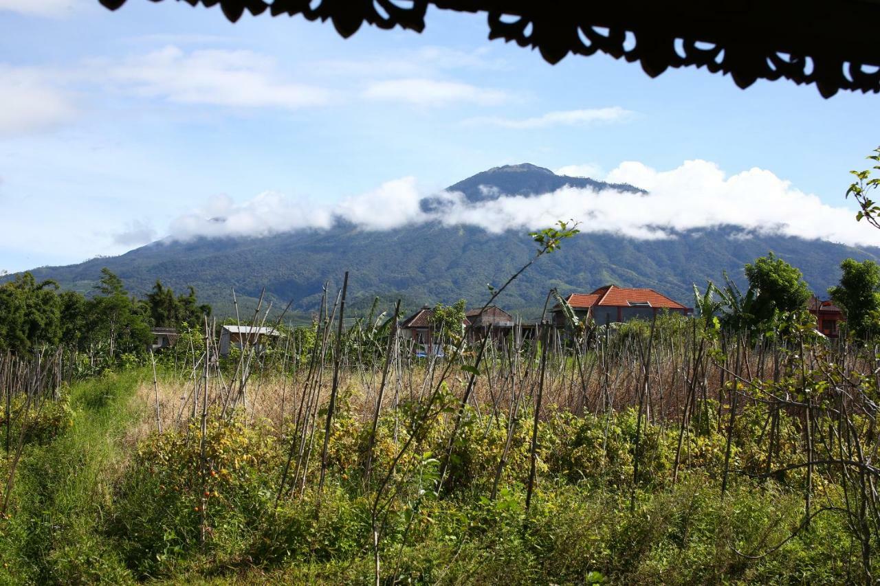 Shanty'S House Batu  Exterior photo
